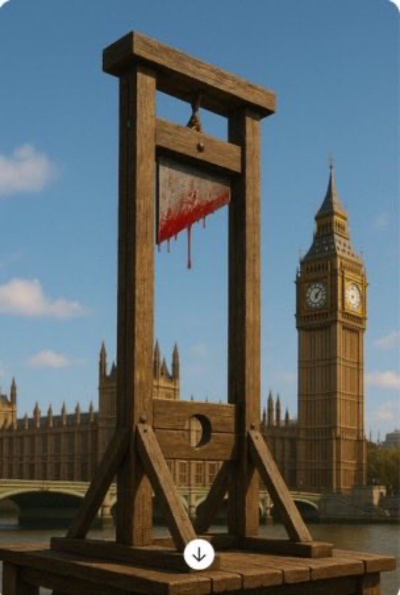 Wolverine Traps tweet media