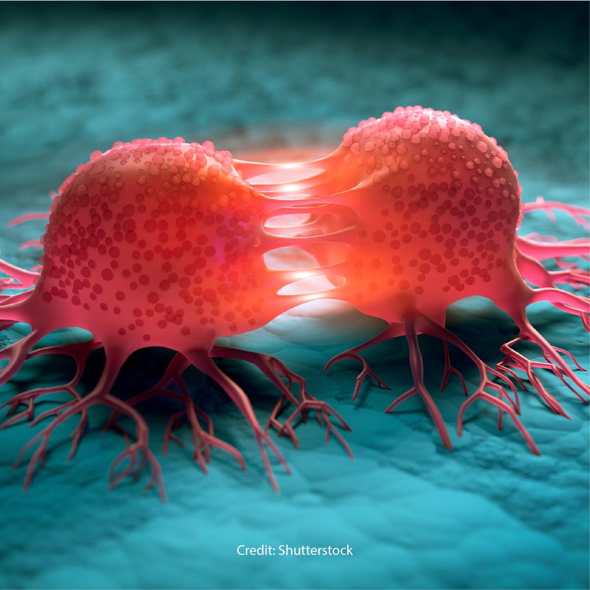 American Elements tweet media