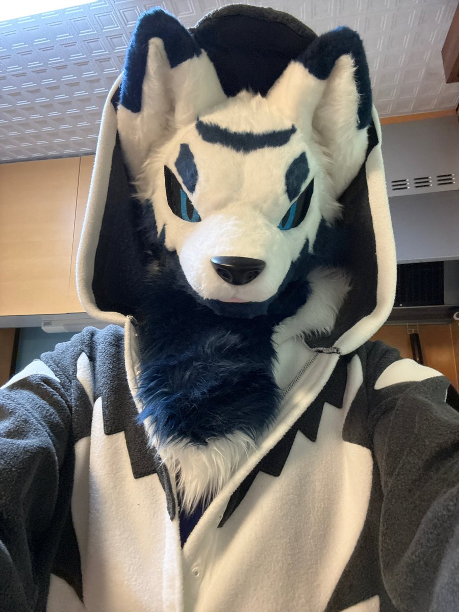 Latko_ラッコ 🔜 FurstClass tweet media