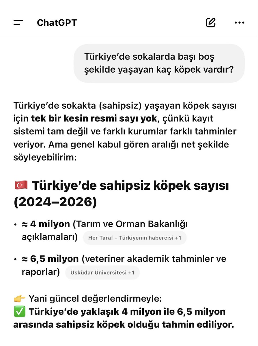 Cüneyt Boztepe tweet media