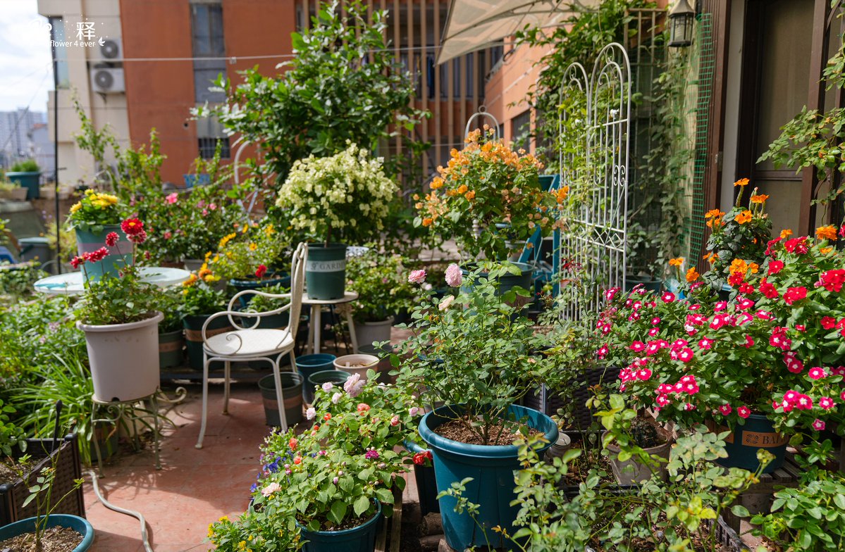 Dominik Dröll tweet media