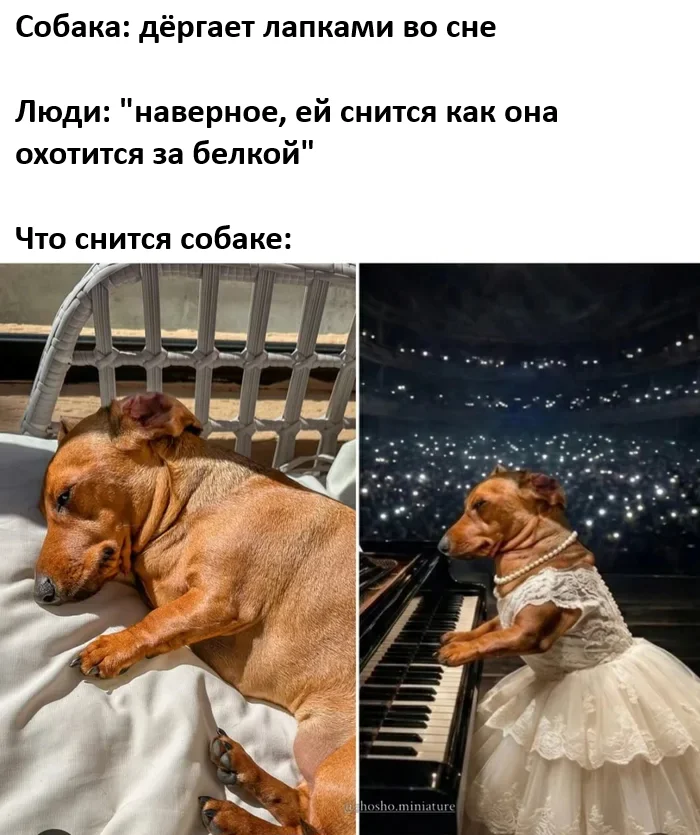 Элишкa tweet media