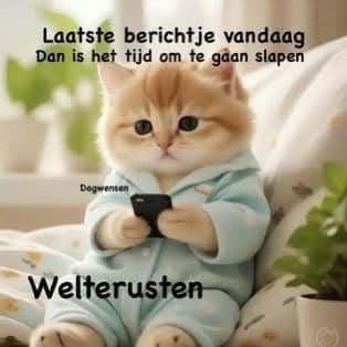 Ina 📸📷📷🚜🚜🦼🇪🇬 tweet media