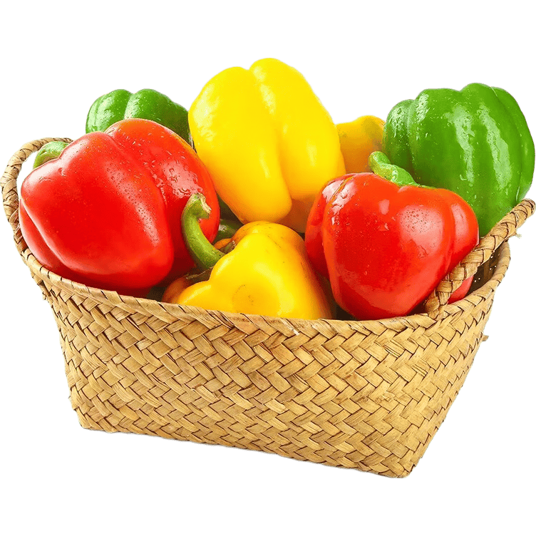 jorge fronti tweet media