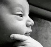 Phoenix𝕏 tweet media