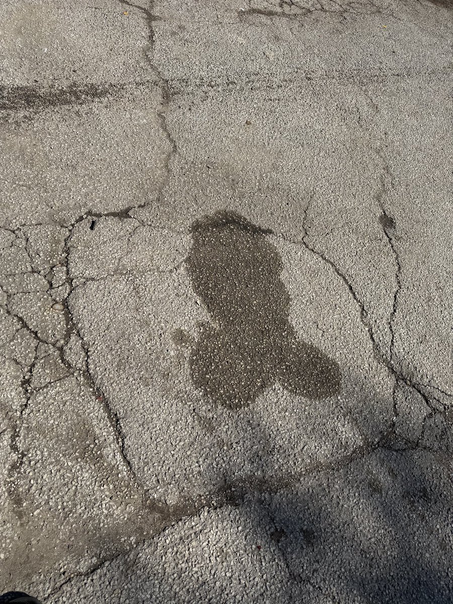 reef jerky tweet media