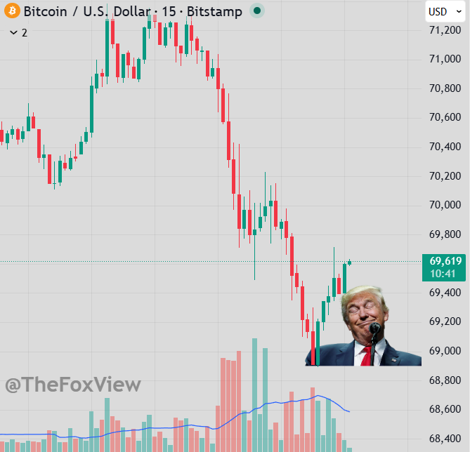 Fox View tweet media