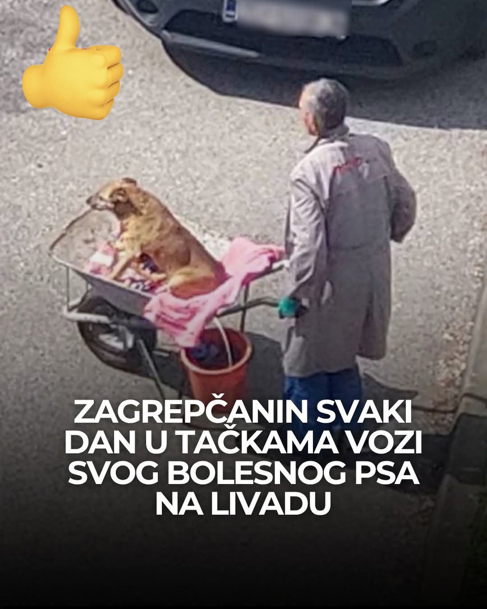 Salko Bijedić tweet media