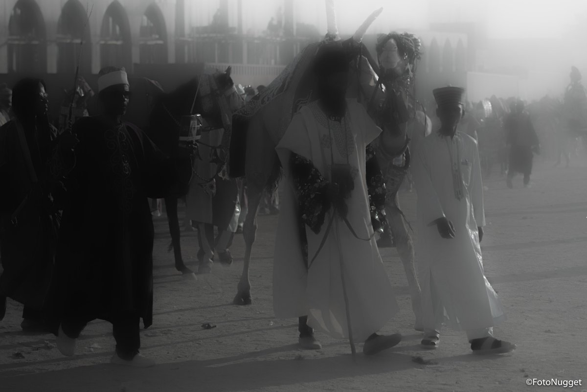 SarkinFOTO tweet media