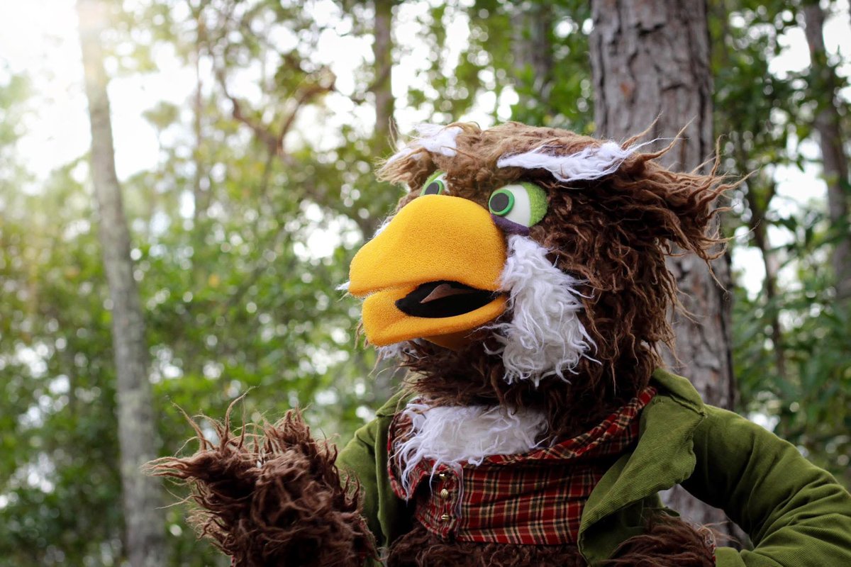 Bird Call tweet media