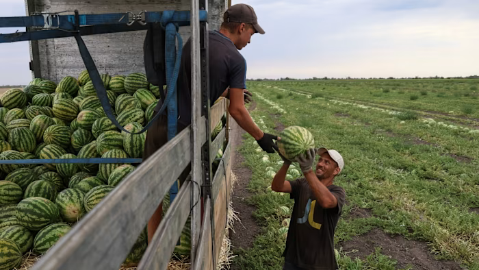 Tymofiy Mylovanov tweet media