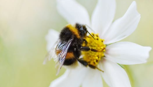 Give A Shit About Nature tweet media