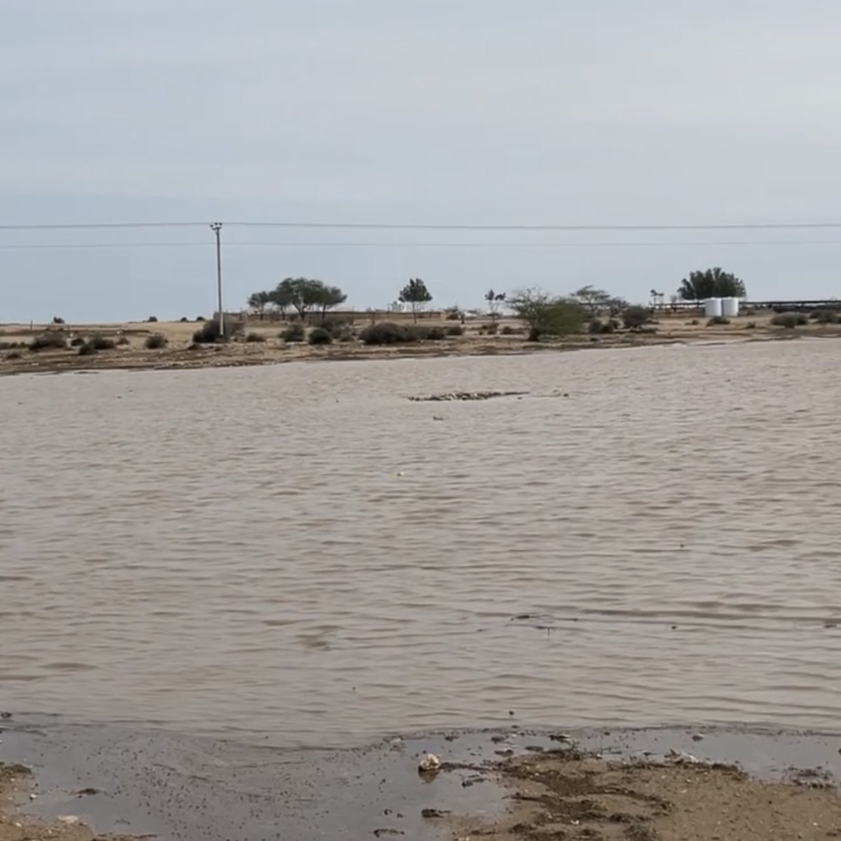المــهـــــا 🇶🇦 tweet media