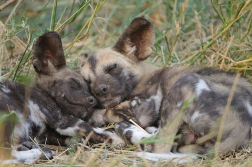 DailyAWD tweet media