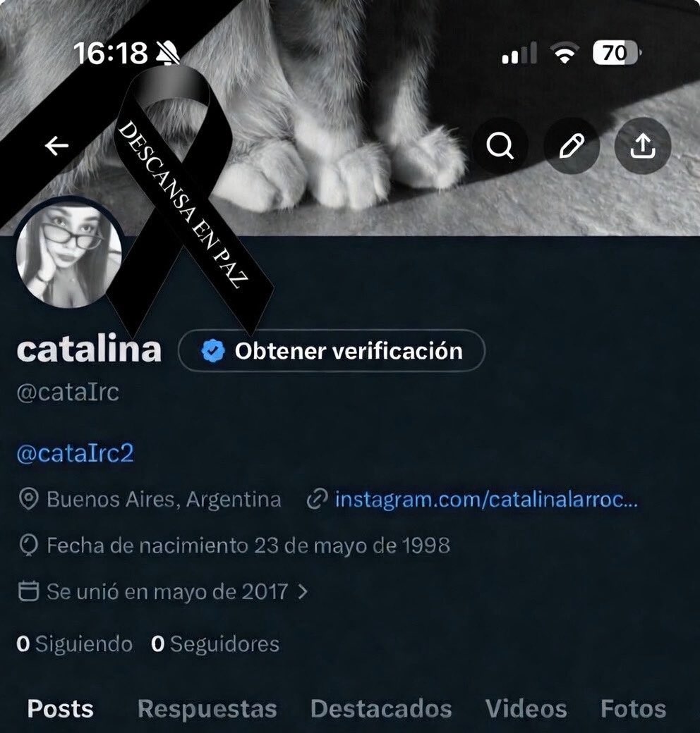 catalina tweet media
