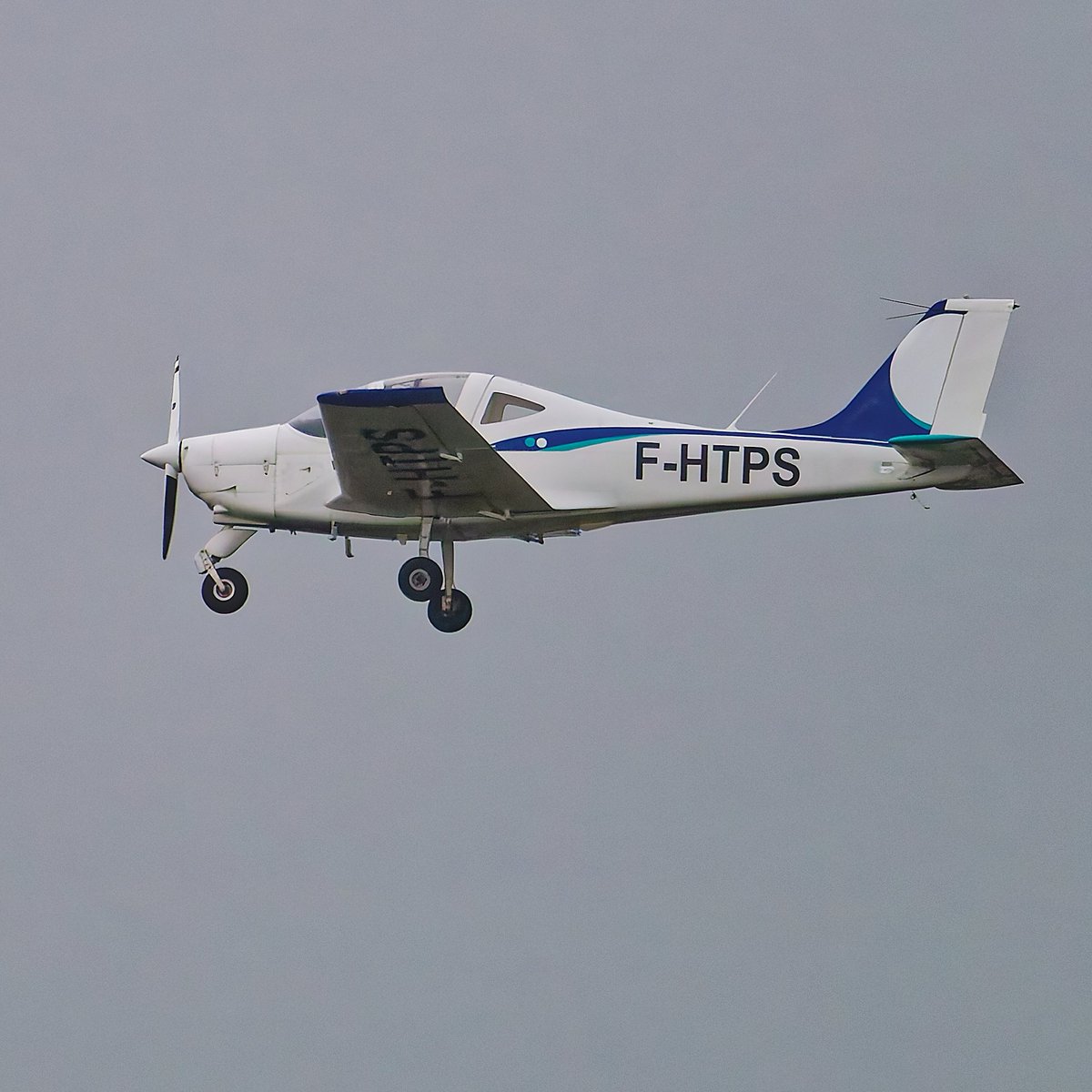 Chief Bullshitness Officer tweet media