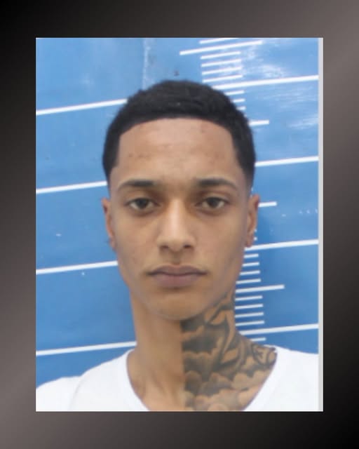 PROCURADOS DO DISQUE DENÚNCIA (2253-1177) tweet media