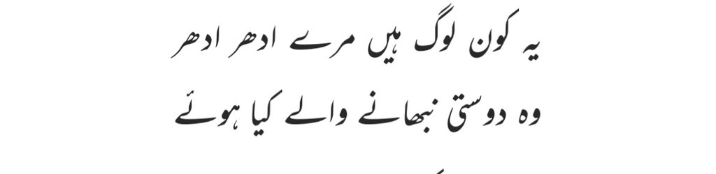 Fungi🍄 tweet media