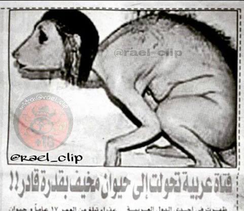 مُستَكِنّ tweet media