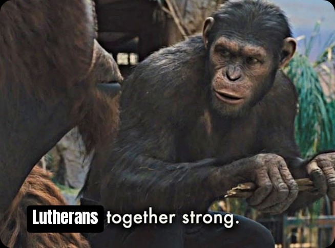 🦬 𝕸𝖆𝖙𝖙𝖍𝖊𝖜 𝖙𝖍𝖊 𝕷𝖊𝖘𝖘𝖊𝖗 🦬 tweet media