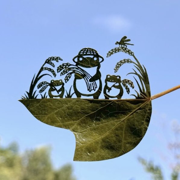 Rose🌸 tweet media