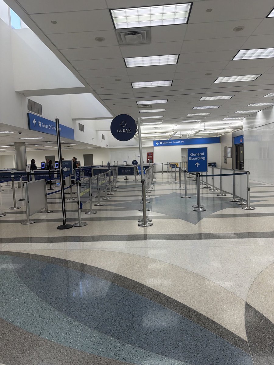 Bodhi- Local SEO tweet media