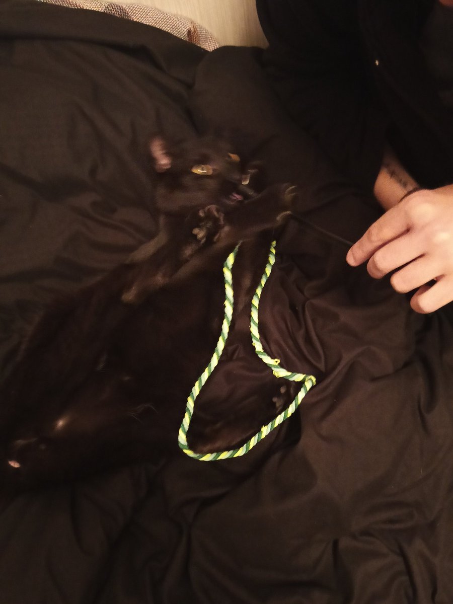 yann —˚₊·—̳͟͞͞♡ tweet media