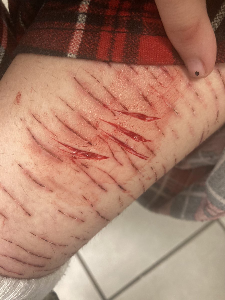 ⤷﹒Salmon of shtwt tweet media