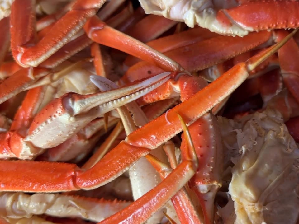 HollywoodGC's tweet photo. 🎉 GIVEAWAY ALERT! 🎉 
Win the ultimate night out for you and a friend! 2 tickets to Gene Watson on Saturday 🎸&amp; 2 AYCE Snow Crab and Crawfish buffets 🦀🦞

To enter:
- Like this post
- Share this post

Winner will be announced on Friday 3/27 at 12PM. Must be a PENN Play Member. https://t.co/4ZEyhrCqaY