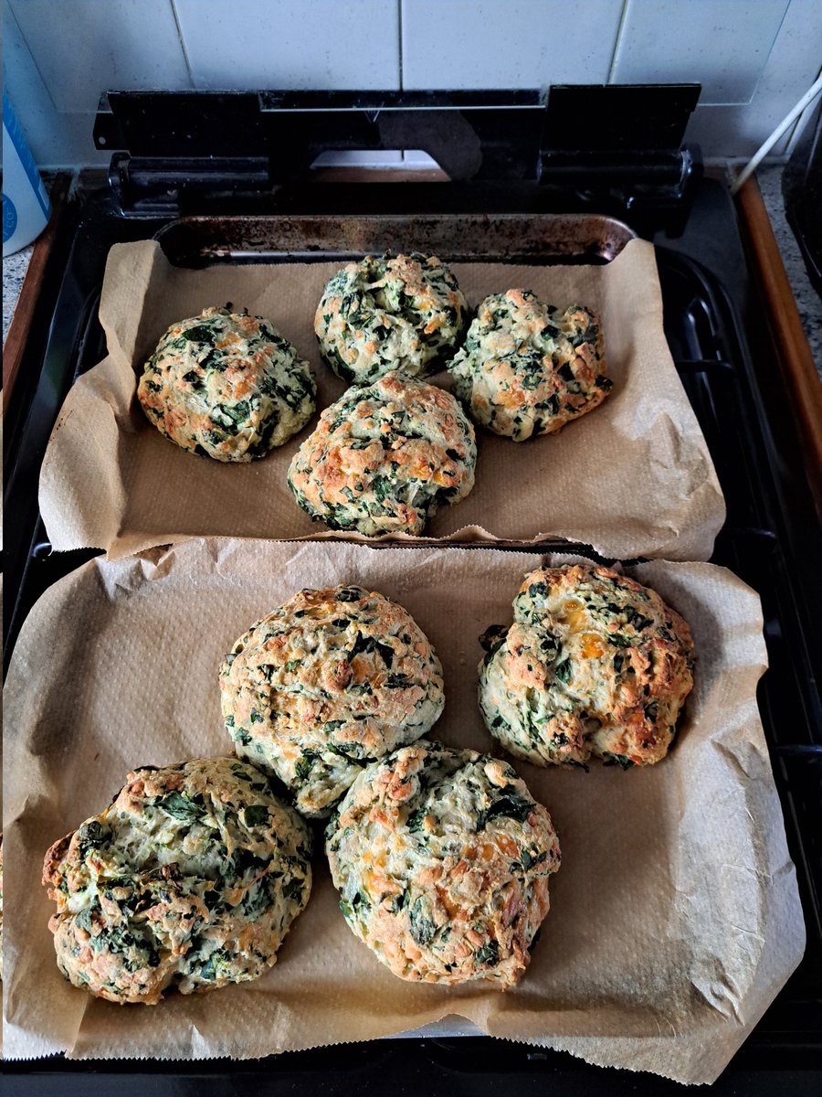 Steven J Beale🚍 tweet media