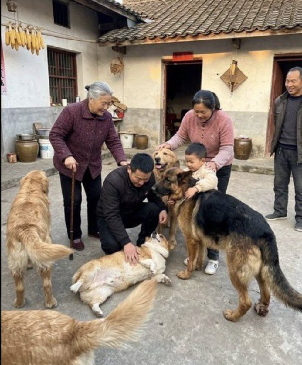 Christina Pushaw 🐊 🇺🇸 tweet media