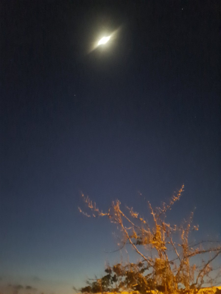 Liza Chami tweet media