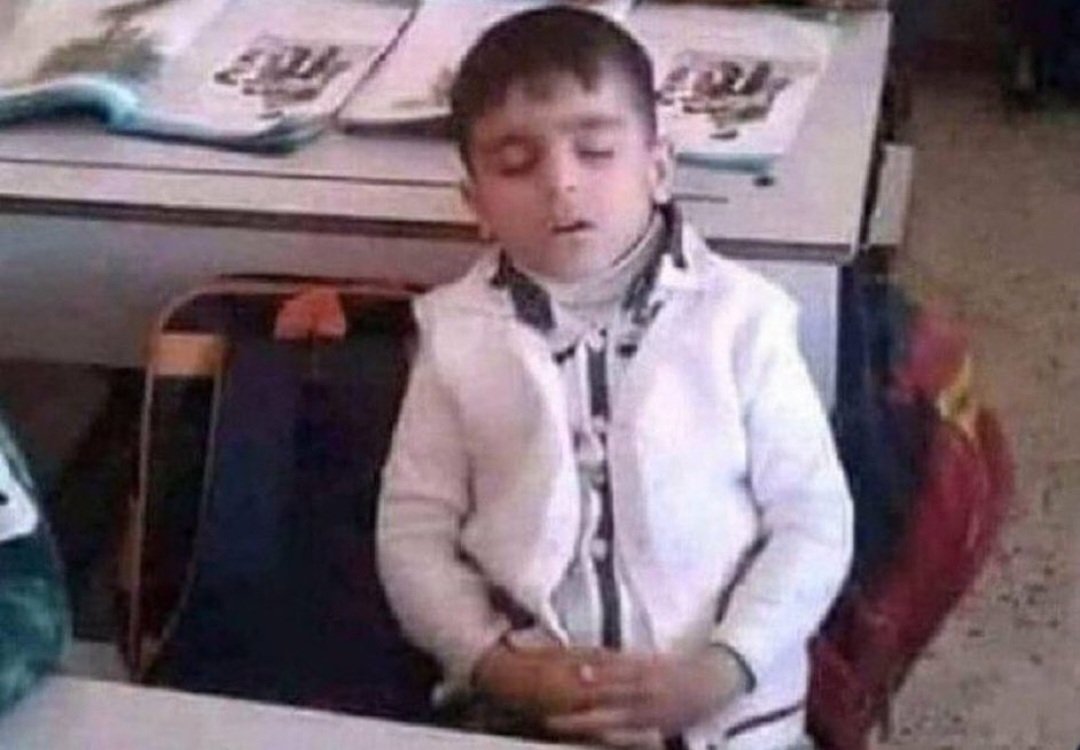 eliralsa tweet media