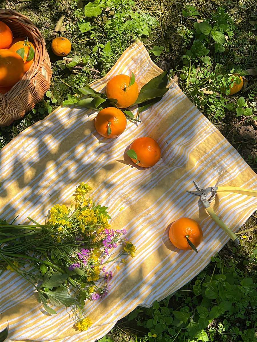 only aesthetic tweet media