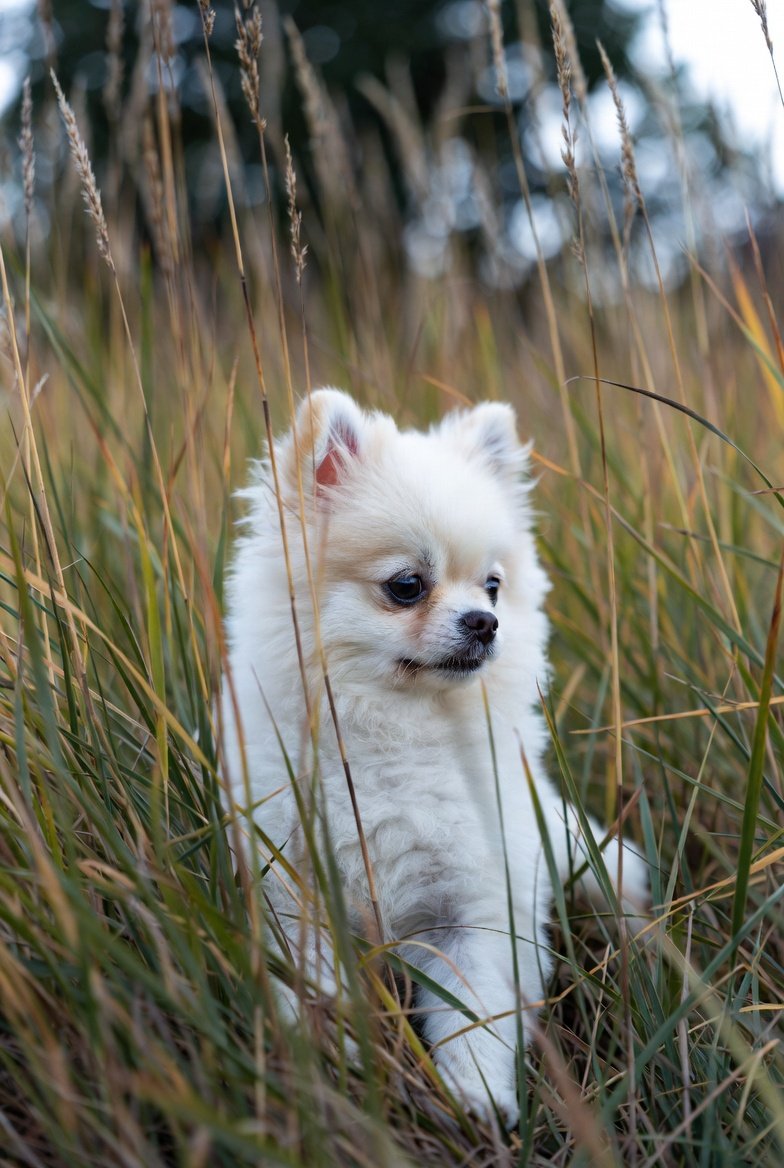 Vizu 🤍 tweet media