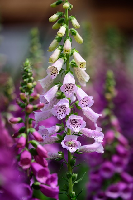 Art - Photography and Music tweet media