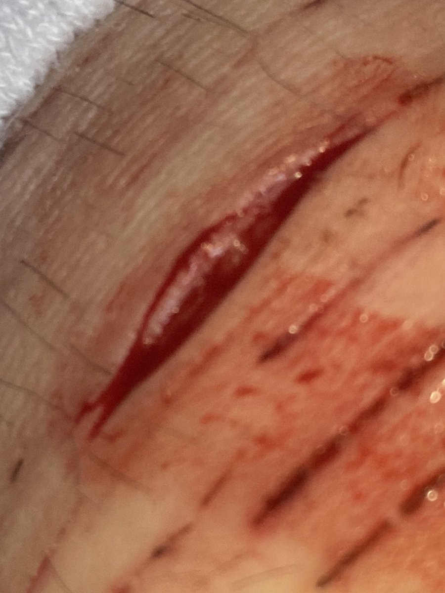 ⤷﹒Salmon of shtwt tweet media