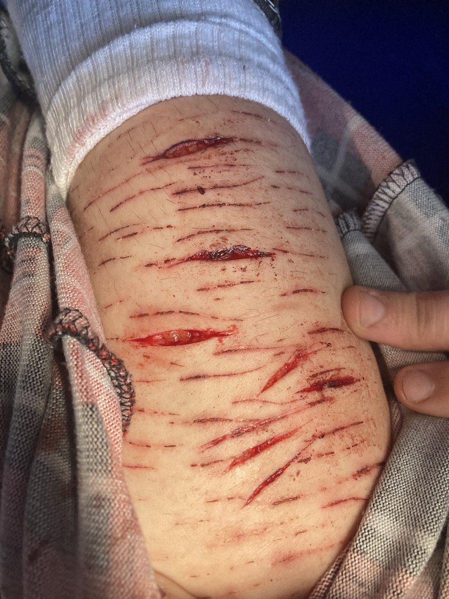 ⤷﹒Salmon of shtwt tweet media