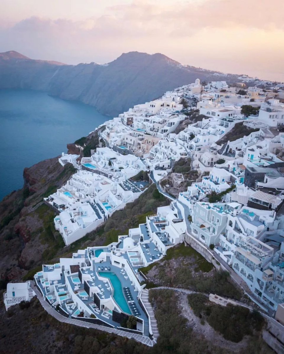 Tina Toles tweet media