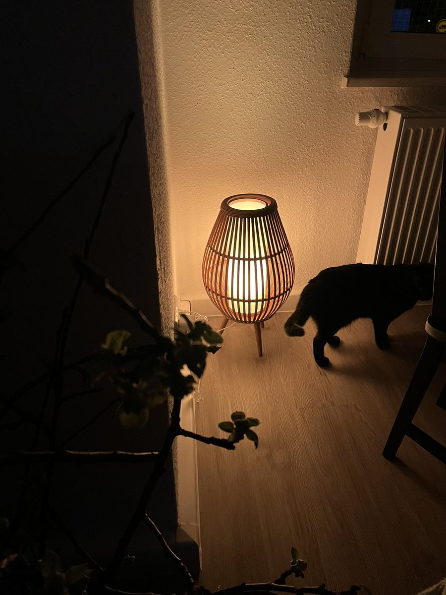 levia .࣪ ִֶָ🦋་༘࿐ jayvik is canon tweet media