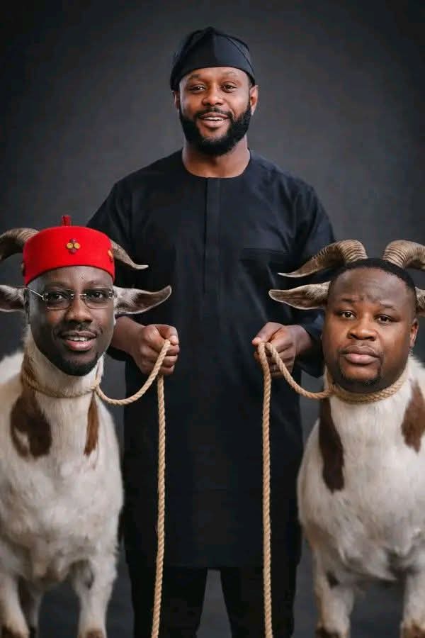 OnyeSimple's tweet photo. @DreadHound0 Two lgbo Goats for sale. https://t.co/vcLQAcsxr9