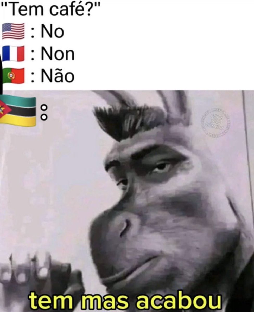 CÃO DE RAÇA 🕊️ tweet media