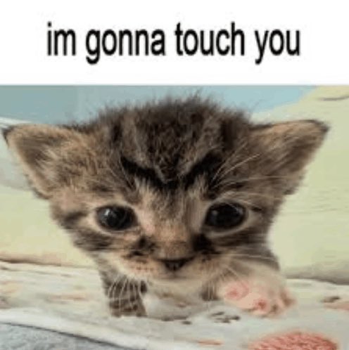 fumi 🍀 tweet media