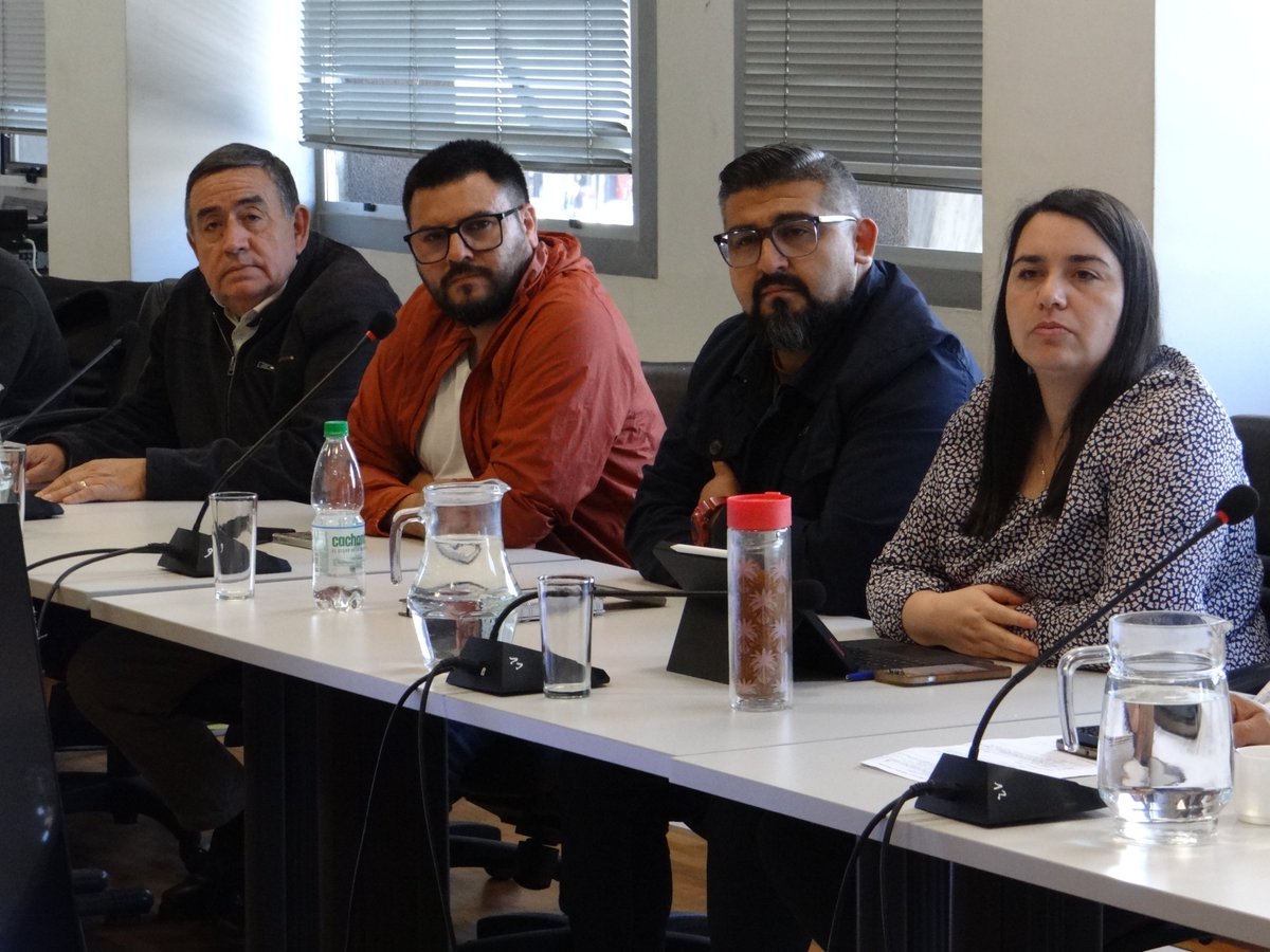 Core BioBio tweet media