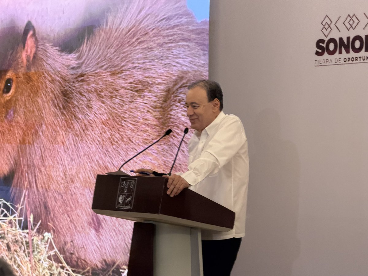 CRISTINA GÓMEZ LIMA tweet media