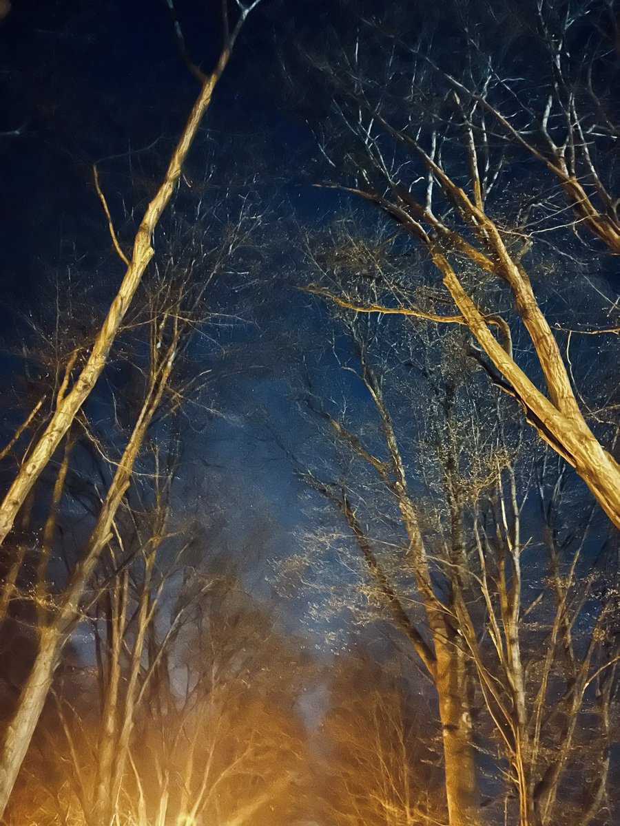 Barbaraxy tweet media