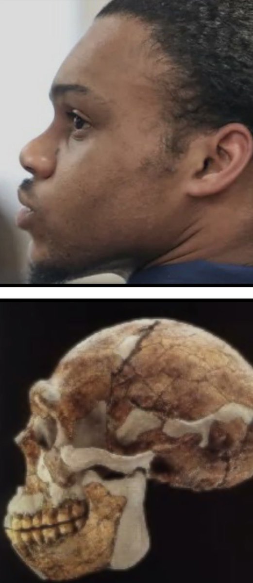 Madisonmatthew tweet media