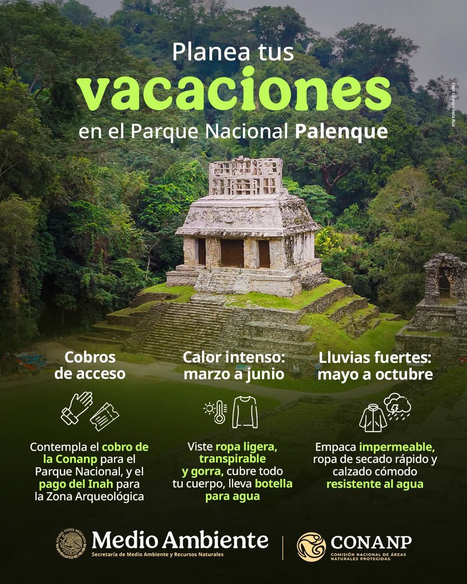 ¿Vas a Palenque esta #SemanaSanta? 🏛️🌿

Planea tu viaje con estos datos: 
1️⃣ Contempla el pago del brazalete CONANP (Conservación) + Boleto INAH (Zona Arqueológica). 
2️⃣ ¡Trae tu credencial de estudiante o profe para obtener descuentos! 🎓💳
¡Sé un guardián de nuestra