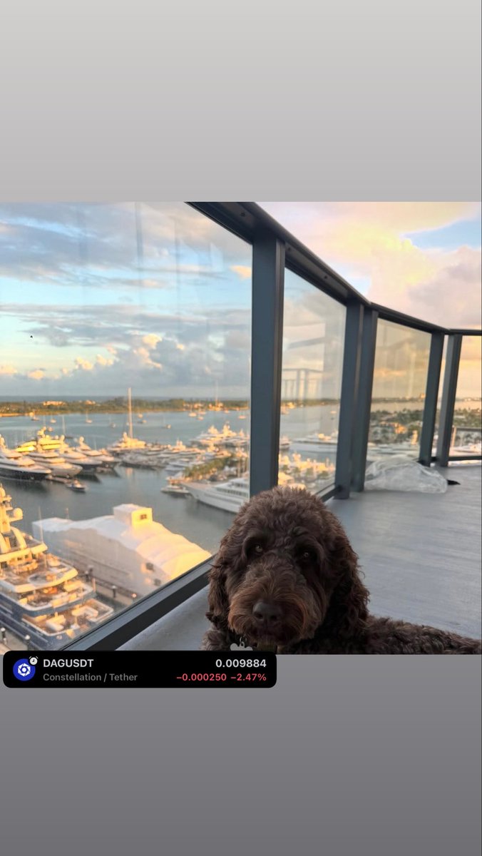 Chart_Phantom💰👻 tweet media