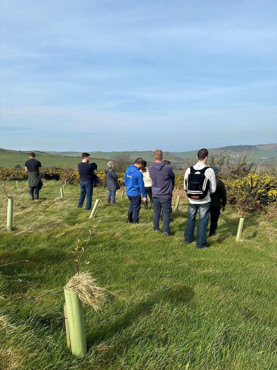 MLProduce's tweet photo. Last Friday we were lucky enough to have ILS world returned to the farm for one of their Wild Work days. They removed tree guards, removed old fence posts and more. Thank you so much as what you did in hours would have taken us days. #ILSworld #helpingwildlife #isleofman https://t.co/ZyFQ1I0Vzi
